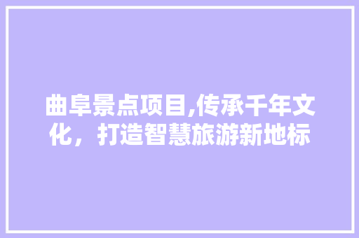 曲阜景点项目,传承千年文化，打造智慧旅游新地标