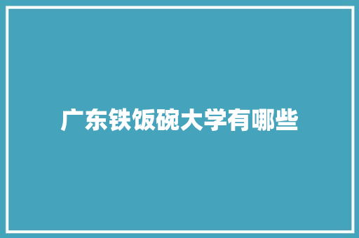 广东铁饭碗大学有哪些 工作报告