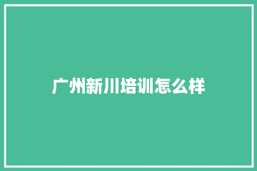 广州新川培训怎么样