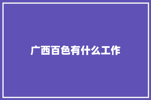 广西百色有什么工作