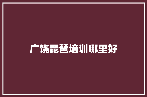 广饶琵琶培训哪里好