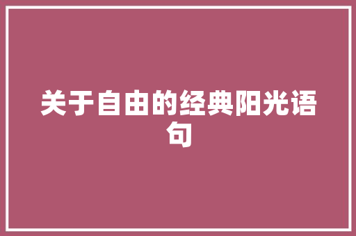 2024slr中国大学排名