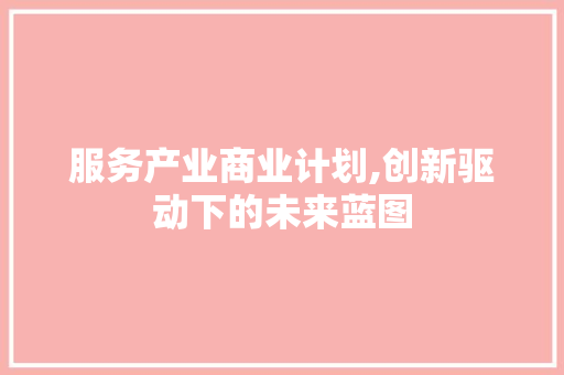 服务产业商业计划,创新驱动下的未来蓝图