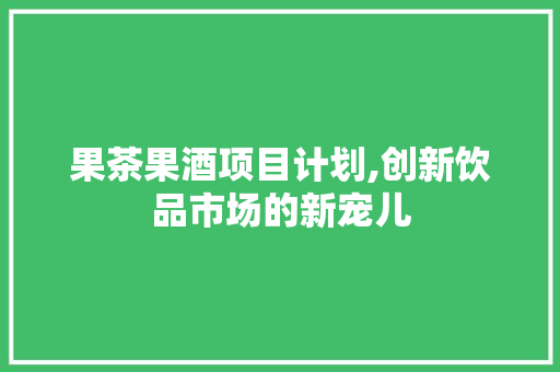 果茶果酒项目计划,创新饮品市场的新宠儿