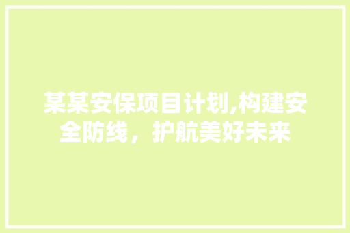 某某安保项目计划,构建安全防线，护航美好未来