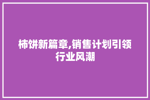 柿饼新篇章,销售计划引领行业风潮