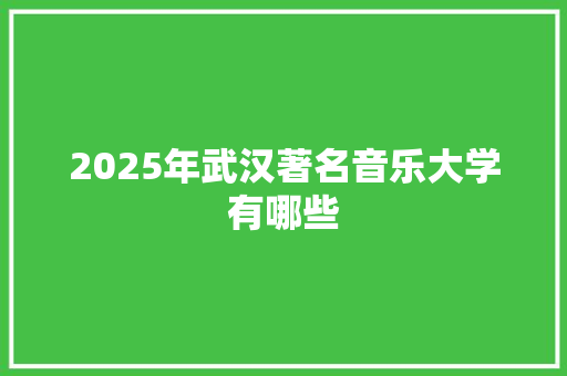 2025年武汉著名音乐大学有哪些