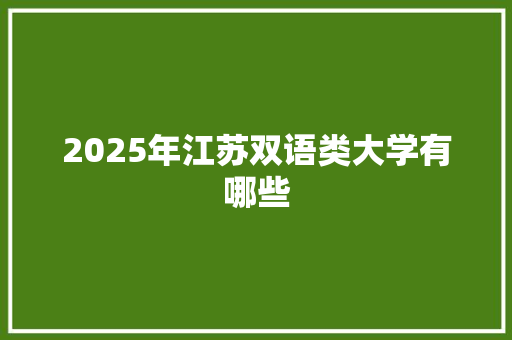 2025年江苏双语类大学有哪些