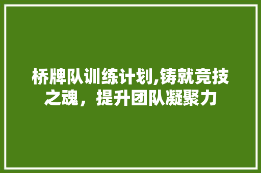 桥牌队训练计划,铸就竞技之魂，提升团队凝聚力