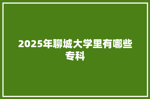 2025年聊城大学里有哪些专科
