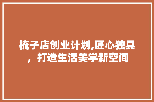 梳子店创业计划,匠心独具，打造生活美学新空间