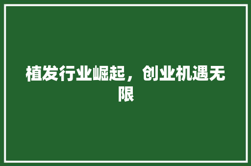 植发行业崛起，创业机遇无限