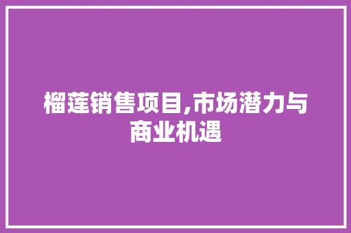 榴莲销售项目,市场潜力与商业机遇