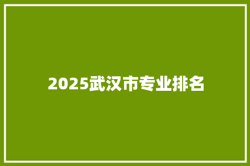 2025武汉市专业排名