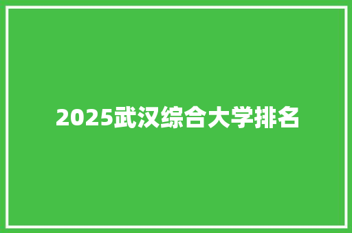 2025武汉综合大学排名