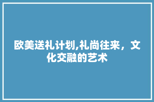 欧美送礼计划,礼尚往来，文化交融的艺术