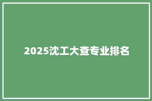 2025沈工大查专业排名