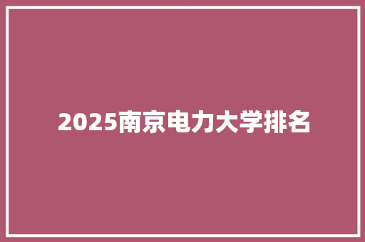 2025南京电力大学排名