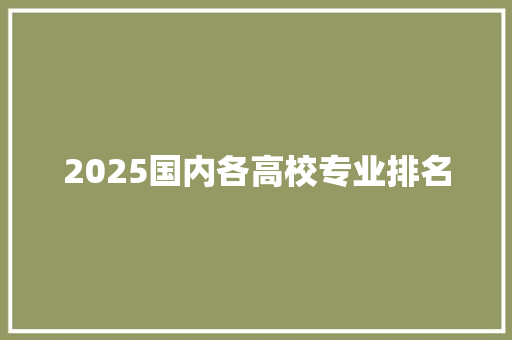 2025国内各高校专业排名