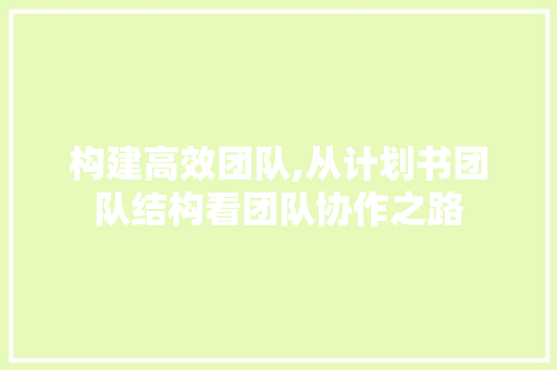 构建高效团队,从计划书团队结构看团队协作之路