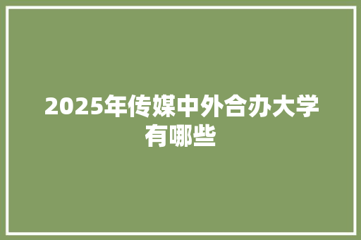2025年传媒中外合办大学有哪些