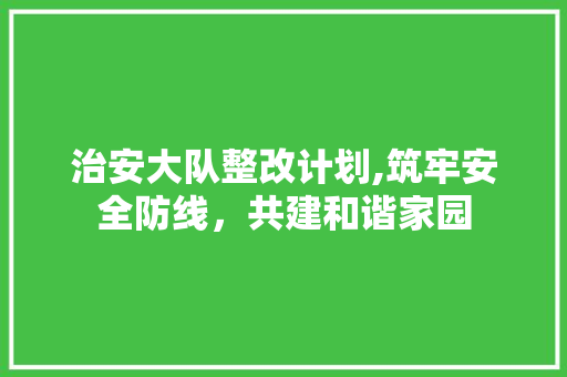 治安大队整改计划,筑牢安全防线，共建和谐家园