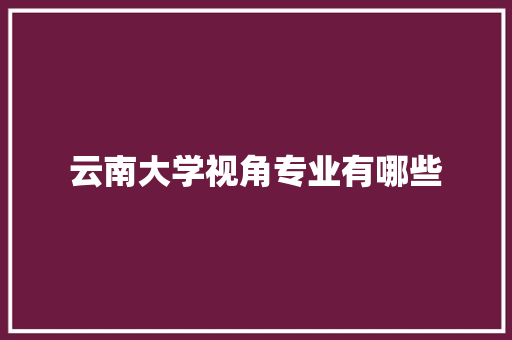 云南大学视角专业有哪些