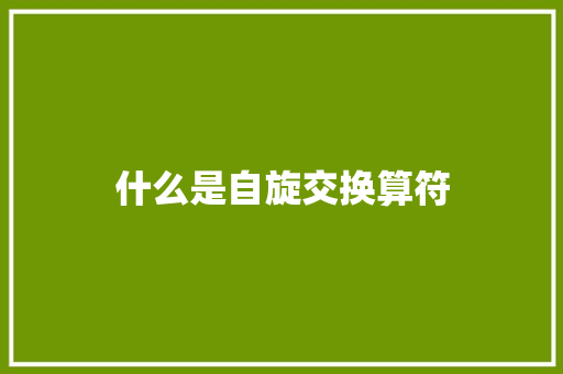 什么是自旋交换算符