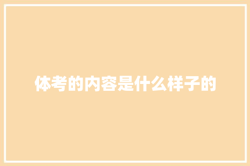体考的内容是什么样子的