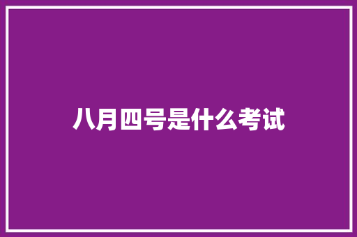 八月四号是什么考试 工作报告