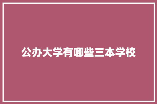公办大学有哪些三本学校 工作类