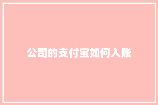 公司的支付宝如何入账