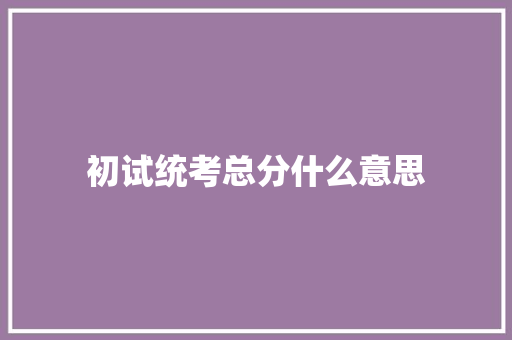 初试统考总分什么意思