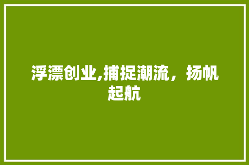 浮漂创业,捕捉潮流，扬帆起航