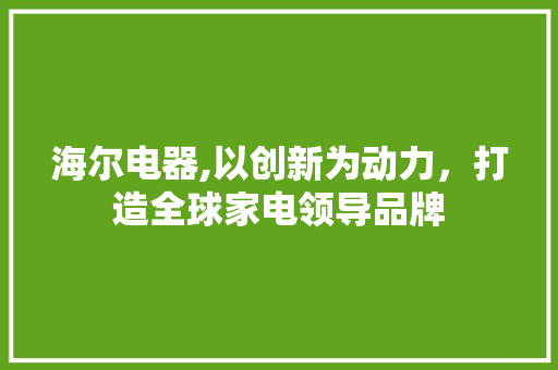 海尔电器,以创新为动力，打造全球家电领导品牌