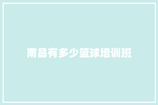 南昌有多少篮球培训班 工作总结