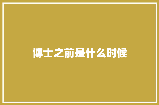 博士之前是什么时候