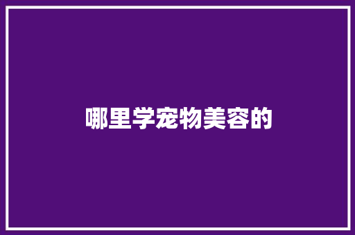 哪里学宠物美容的
