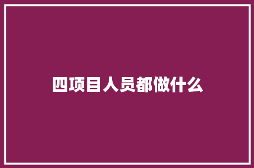四项目人员都做什么