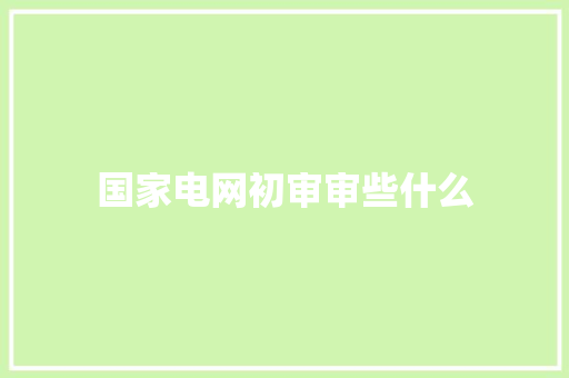 国家电网初审审些什么