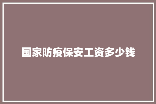 国家防疫保安工资多少钱