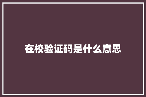 在校验证码是什么意思