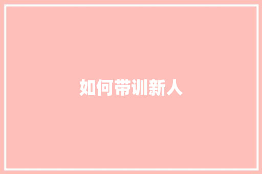 如何带训新人 工作总结