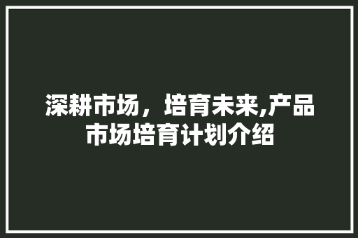 深耕市场，培育未来,产品市场培育计划介绍