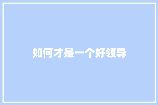 如何才是一个好领导