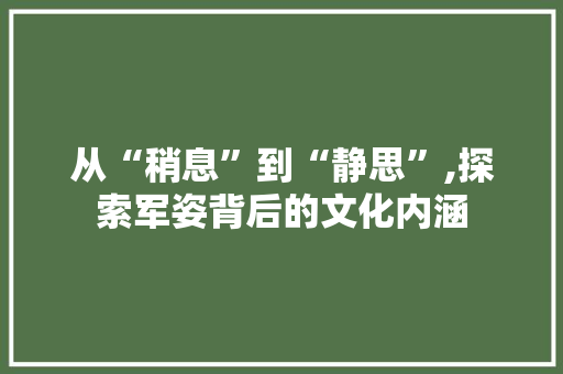 从“稍息”到“静思”,探索军姿背后的文化内涵