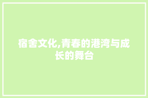 宿舍文化,青春的港湾与成长的舞台