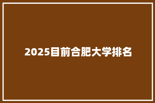 2025目前合肥大学排名