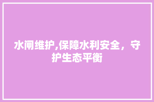 水闸维护,保障水利安全，守护生态平衡