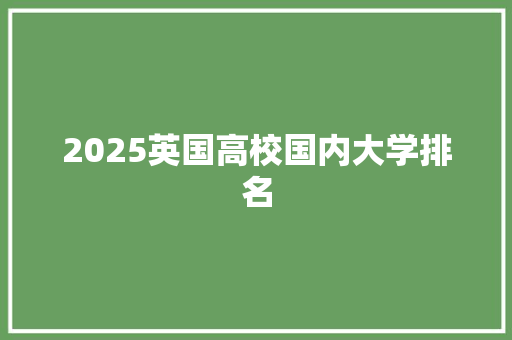2025英国高校国内大学排名 工作报告